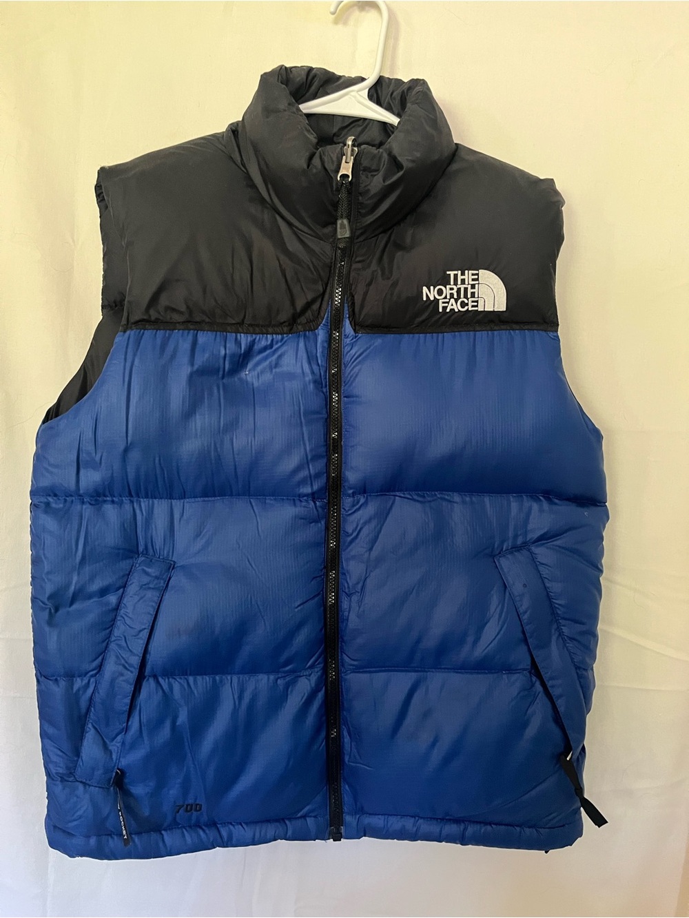 The North Face Men’s Black & Blue Down Vest